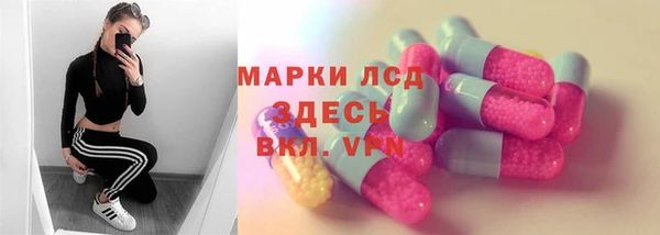 PSILOCYBIN Белокуриха
