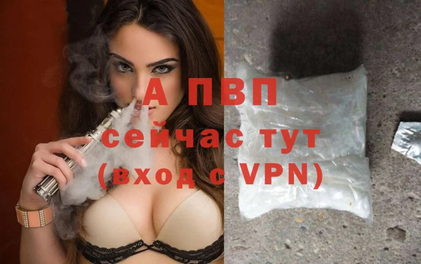 PSILOCYBIN Белокуриха