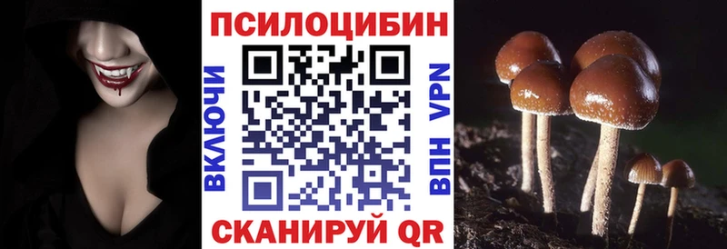 omg ONION  Облучье  Галлюциногенные грибы Psilocybe 